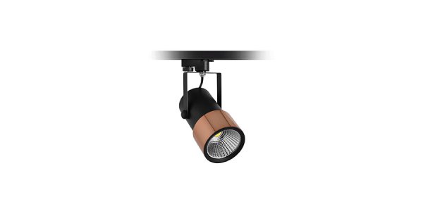 Dekoratif Ray Spot
